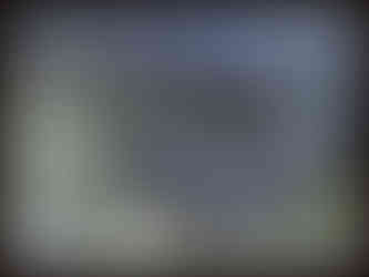 journeys & scorpions | travelblog | Sri Lanka | Boatride Chilaw | Gin oya River | Varanus sp.