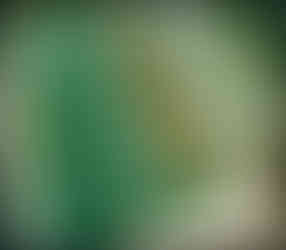 journeys and scorpions travelblog | Vietnam, Halong Bay, Pearl Farm