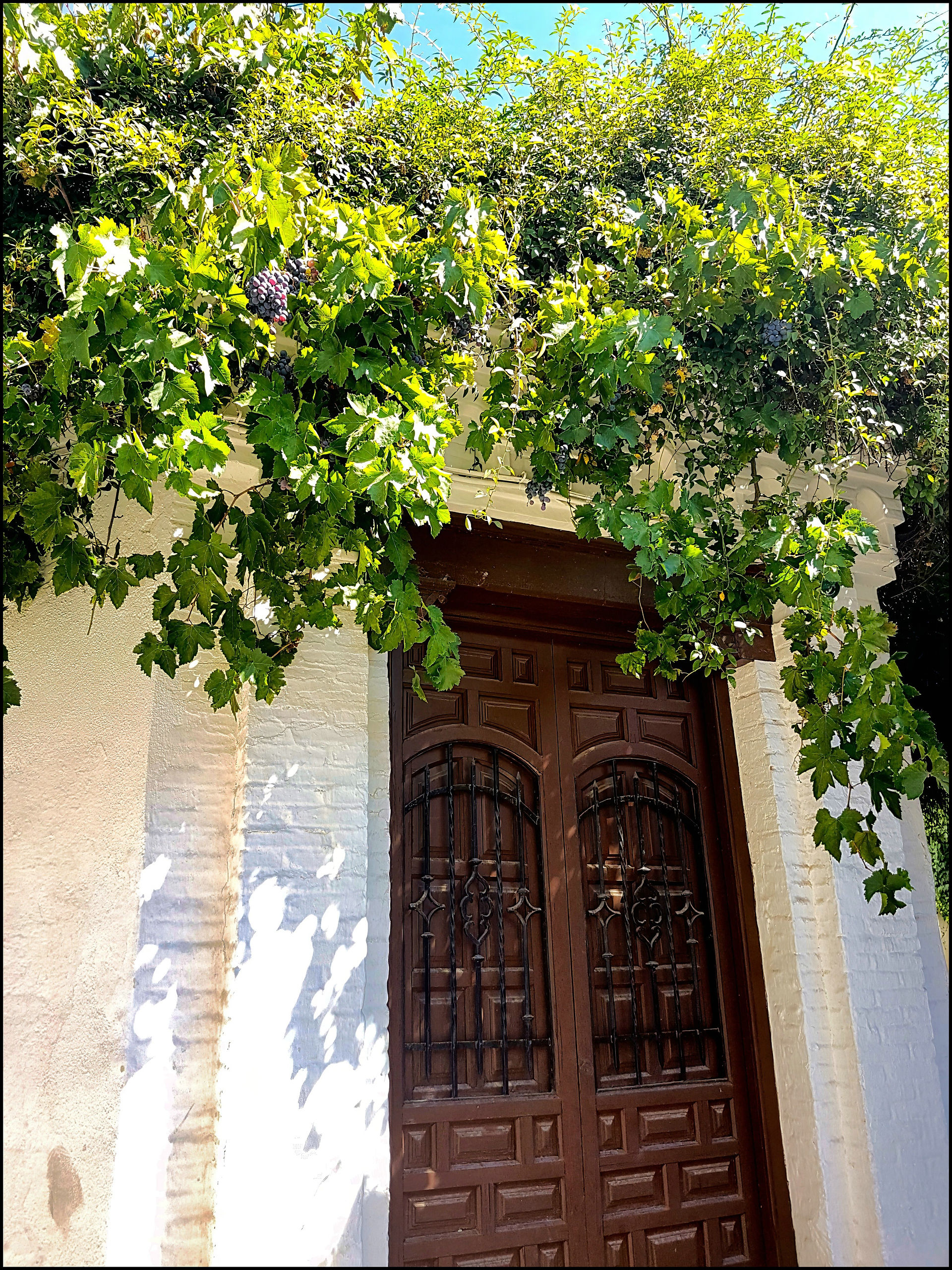 journeys and scorpions travelblog | Spain-Andalusia, Granada