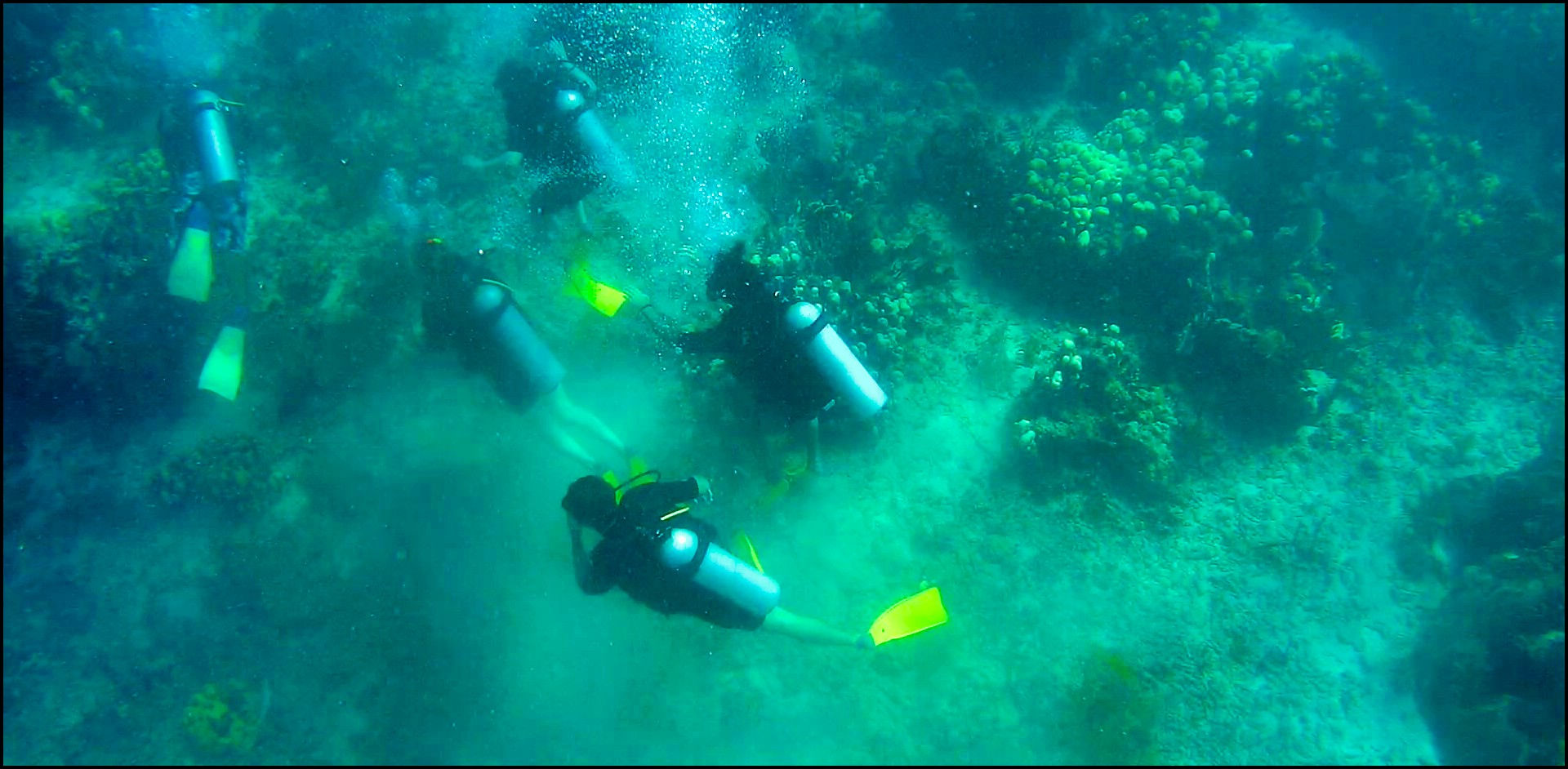 journeys and scorpions travelblog | Dominican Republic | Boattour Catalina Island