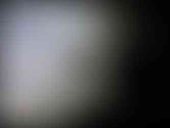 journeys & scorpions travel blog | Morocco Tamri | Scorpion Scorpio sp.