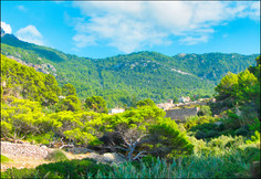 journeys and scorpions travelblog | Spain Mallorca 2017 | Estellencs