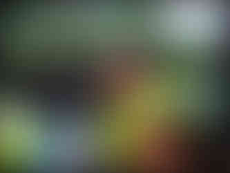 journeys and scorpions travelblog | Dominican Republic | Boatride to Mangroves