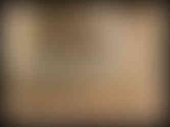 journeys & scorpions | travelblog | Sri Lanka | Elephant Orphanag