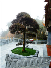 journeys and scorpions travelblog | Vietnam-Sapa, Fansipan, Trinh Pagoda-Kim Son Bao Thang Pagoda