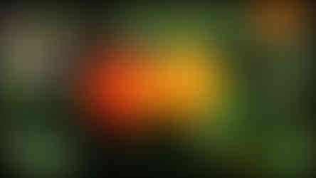 journeys and scorpions travelblog | Spain-Andalusia, Granada |  Fuente De Las Batallas, Plaza Del Campilo | Marigolds, Tagetes patula, (Bolero)