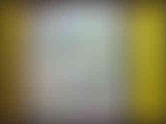 journeys & scorpions | travelblog | Sri Lanka | Wilpattu National Parc | Museum | Snakes of Sri Lanka