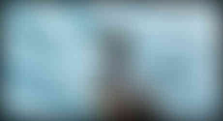 journeys and scorpions travelblog | Spain Mallorca 2017 | Port de Valdemossa | Black Heron Egretta sp.journeys and scorpions travelblog | Spain Mallorca 2017 | Port de Valldemossa | Black Heron Egretta sp.