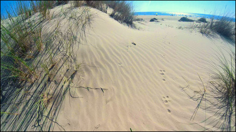 journeys and scorpions travelblog | Spain, Andalusia - Cadiz, Playa de la Victoria