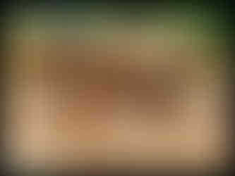 journeys & scorpions | travelblog | Sri Lanka | Elephant Orphanage