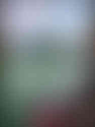 journeys and scorpions travelblog | Vietnam, Halong Bay, Pearl Farm