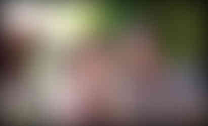 journeys and scorpions travelblog | Spain-Andalusia, Granada | Jardines de Zoraya