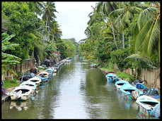 journeys & scorpions | travelblog | Sri Lanka | Dutch Canal of Negombo