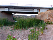 journeys & scorpions | travelblog | Morocco Essaouria