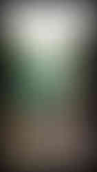 journeys & scorpions | travelblog | Sri Lanka | Siri Gautama Sambuddharaja Maligawa