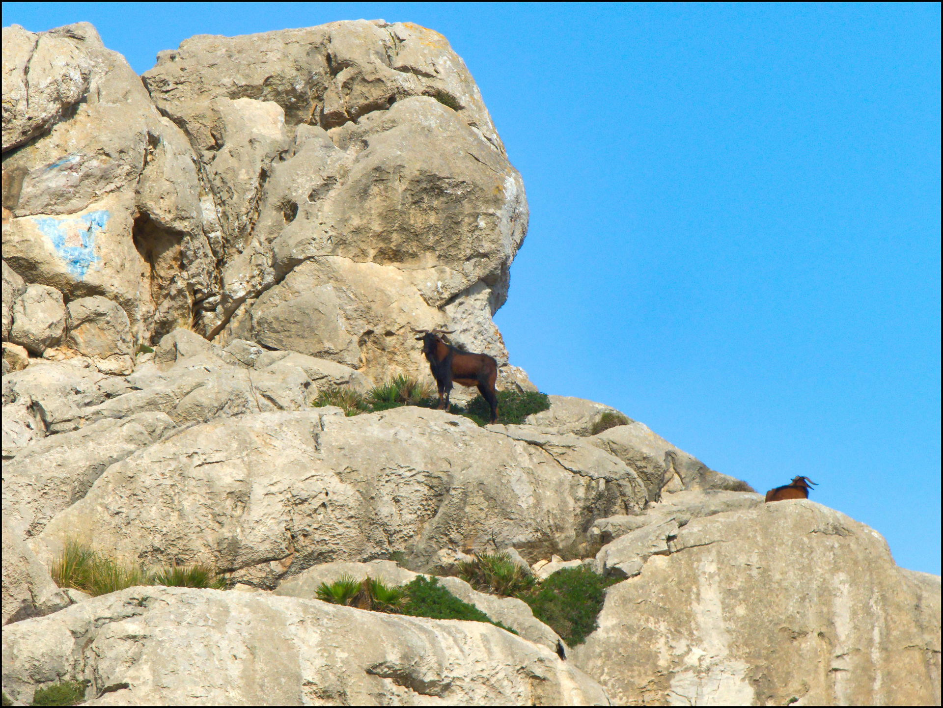 journeys and scorpions travelblog | Spain Mallorca 2017 | Cap Formentor