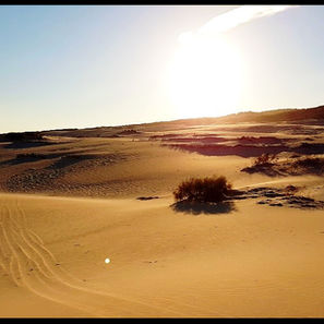 Desert: Useful stuff
