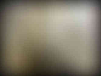 journeys & scorpions | travelblog | Sri Lanka | Sigiriya Rock | Menemerus sp. | Jumping spider