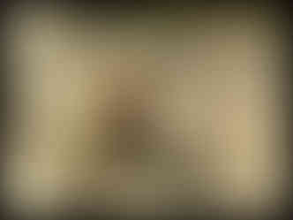 journeys & scorpions | travelblog | Sri Lanka | Golden Buddha | Macaca sinica