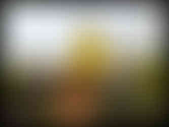 journeys & scorpions | travelblog | Sri Lanka | Golden Buddha