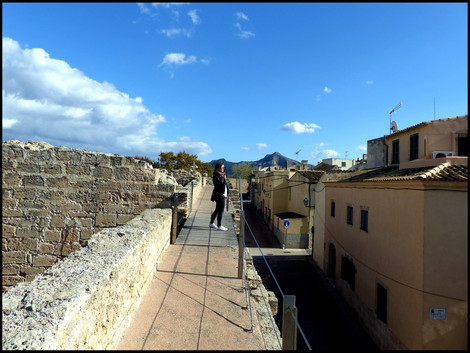 journeys & scorpions | travelblog | Spain Mallorca | Port Alcudia Old Town | Port del Moll