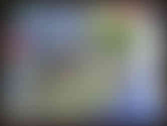 journeys & scorpions | travelblog | Sri Lanka | Monsoon disaster Newspaper