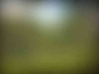 journeys and scorpions travelblog | Vietnam-Cuc Phuong National Park