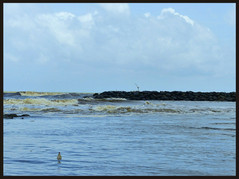 journeys & scorpions | travelblog | Sri Lanka | Boatride Chilaw | Indian ocean & Gin oya River