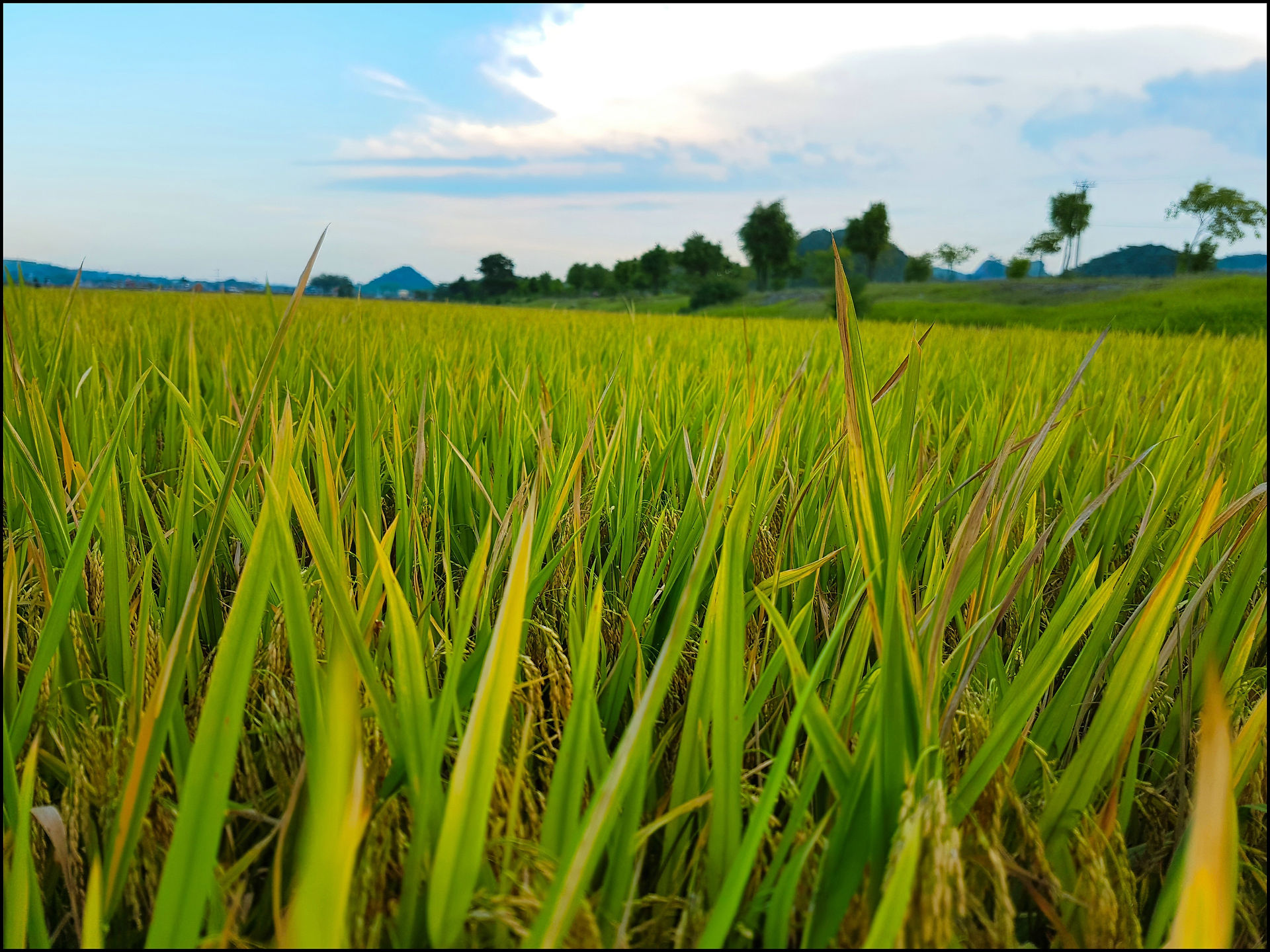 journeys and scorpions travelblog  | Vietnam-Ninh Binh
