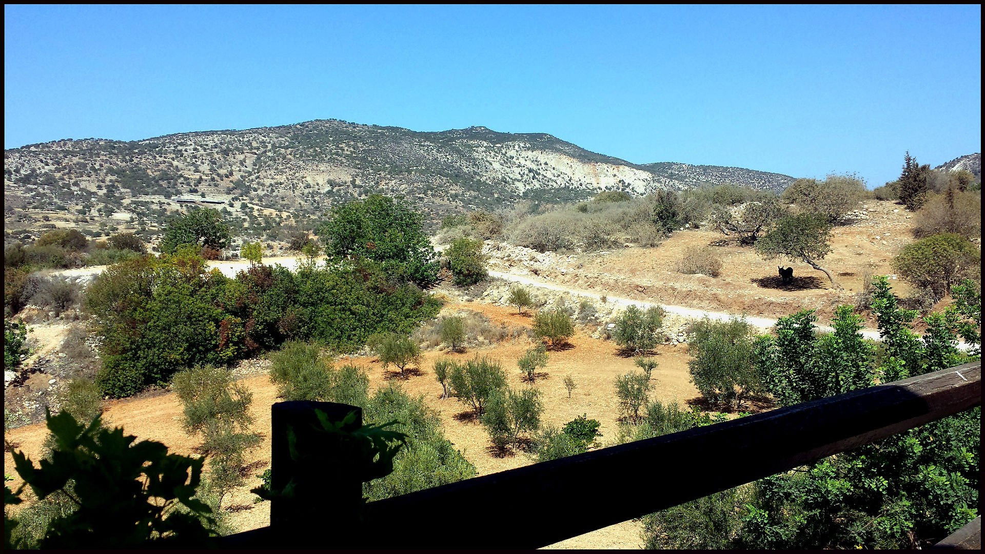 journeys & scorpions | travelblog | Cyprus | Adonis Baths Waterfalls | Vatouthkia Restaurant