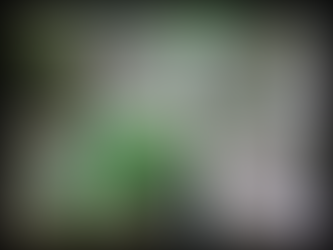 journeys & scorpions | travelblog | Greece-Rhodes | Petaloudes | Butterfly Valley | Waterfall