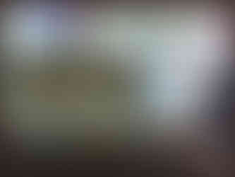 journeys & scorpions | travelblog | Sri Lanka | Wilpattu National Parc | Museum | Crocodile skeleton