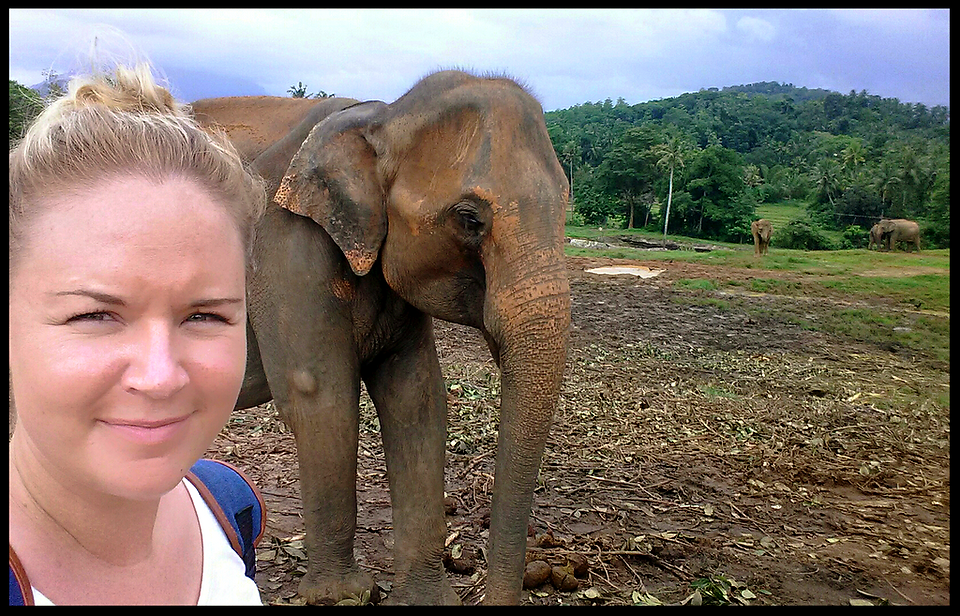 journeys & scorpions | travelblog | Sri Lanka | Elephant Orphanage