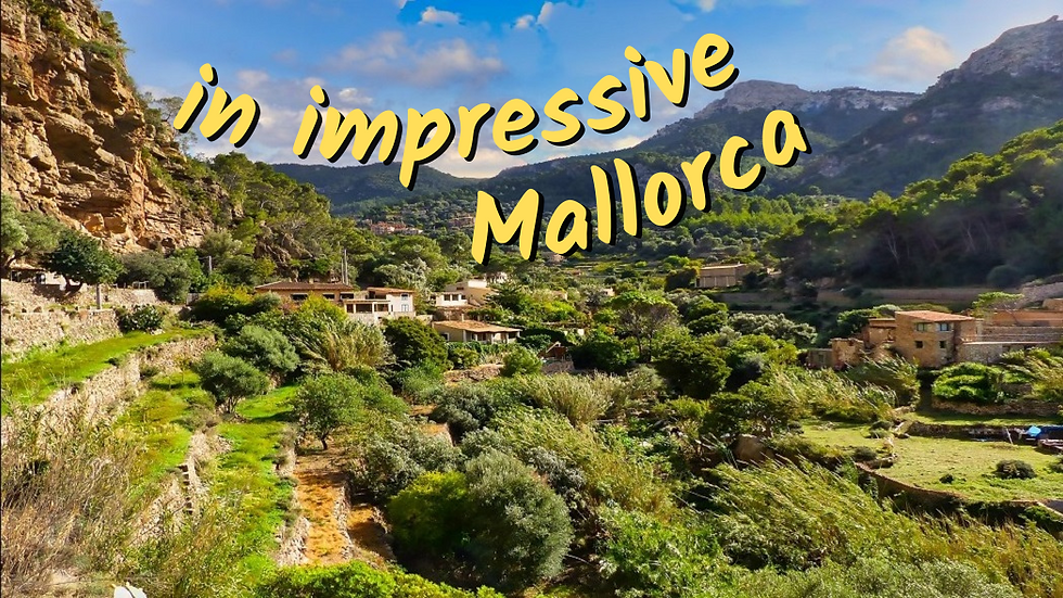in impressive Mallorca | Day by Day Version, 11/2016 | Video
