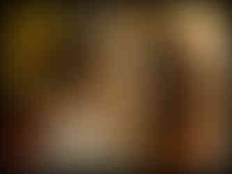 journeys & scorpions | travelblog | Sri Lanka | Golden Buddha Temple | Otocryptis wiegmanni | Ceylon kangaroo lizard