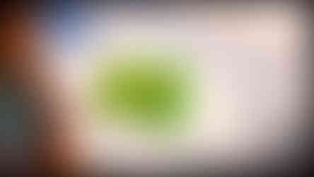 journeys and scorpions travelblog | Dominican Republic | Paradise Island Beach Resort, Punta Rucia | Paradise Island