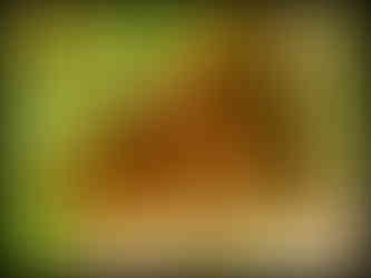 journeys & scorpions | travelblog | Sri Lanka | Wilpattu National Parc | Termite mound