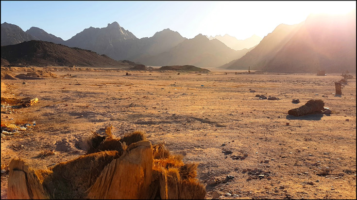 journeys and scorpions travelblog | Egypt, Quad Tour