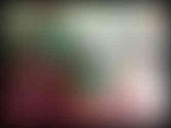 journeys & scorpions | travelblog | Sri Lanka | Glenloch Teafactory