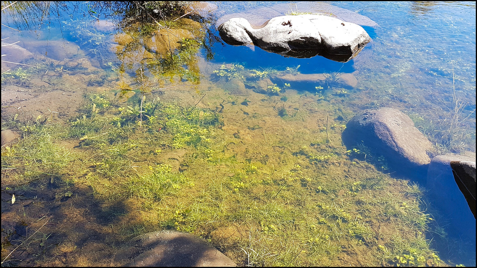journeys and scorpions travelblog | Spain-Andalusia, Parque Natural Sierra de Andujar, Sierra Morena, Rio Jandula 