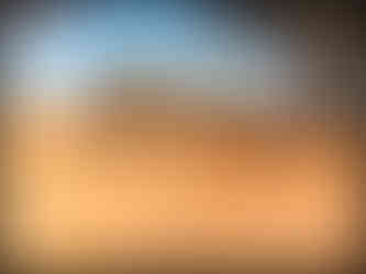 journeys & scorpions travel blog | Morocco Ouakrim | Scorpion Buthus sp. Habitat