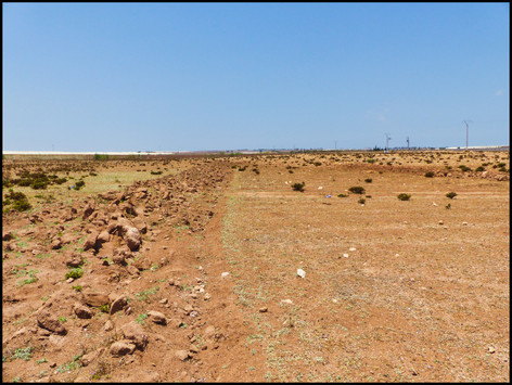 journeys and scorpions travelblog | Morocco Tiznit | Habitat Buthus sp.