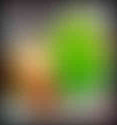 journeys and scorpions travelblog | Thailand Phuket Lard Yai Streetfood Market