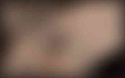 journeys & scorpions | travelblog | Morocco Atlas Mountain Route N9 | Aguelmouss | Melladi | Solifguae | Camel spider | Galeodes sp.