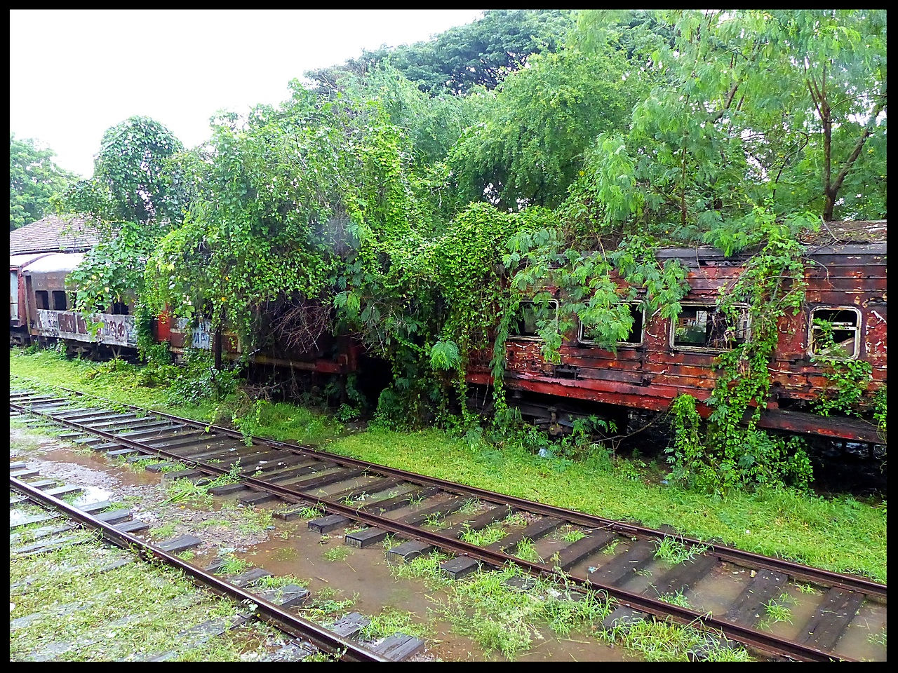 journeys & scorpions | travelblog | Sri Lanka | Old train