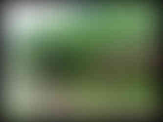 journeys & scorpions | travelblog | Sri Lanka | Old train