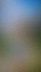 journeys and scorpions travelblog | Spain Mallorca 2017 | Cap Formentor