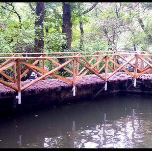 5th Day: Petaloudes and more...rainy Day but much fun