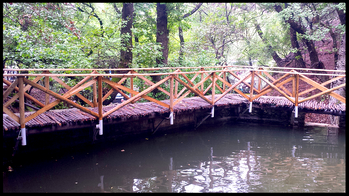 5th Day: Petaloudes and more...rainy Day but much fun