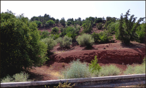 journeys & scorpions | travelblog | Morocco